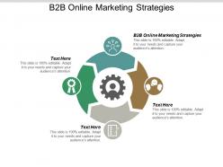 B2b online marketing strategies ppt powerpoint presentation summary brochure cpb