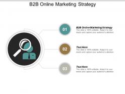 B2b online marketing strategy ppt powerpoint presentation summary display cpb