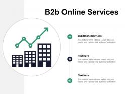 B2b online services ppt powerpoint presentation file graphics design cpb