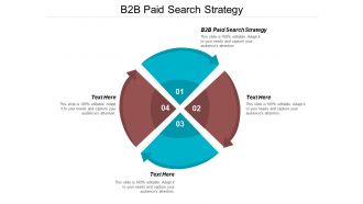 B2b paid search strategy ppt powerpoint presentation pictures professional cpb