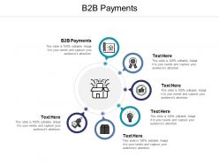 B2b payments ppt powerpoint presentation infographics cpb