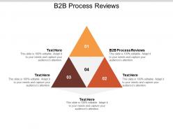 B2b process reviews ppt powerpoint presentation styles graphics cpb
