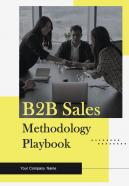 B2B Sales Methodology Playbook Report Sample Example Document