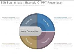 B2b segmentation example of ppt presentation