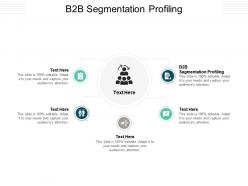 B2b segmentation profiling ppt powerpoint presentation gallery display cpb
