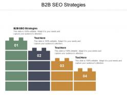 B2b seo strategies ppt powerpoint presentation infographic template cpb