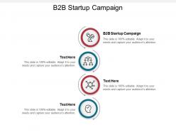 B2b startup campaign ppt powerpoint presentation design templates cpb
