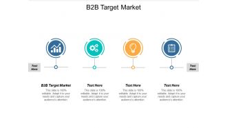 B2b target market ppt powerpoint presentation pictures summary cpb