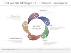 B2b Website Strategies Ppt Examples Professional