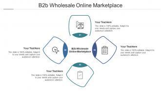 B2b wholesale online marketplace ppt powerpoint presentation professional examples cpb