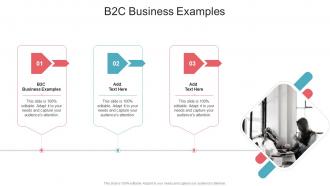 B2C Business Examples In Powerpoint And Google Slides Cpb