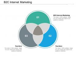 B2c internet marketing ppt powerpoint presentation icon design ideas cpb