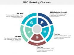 B2c marketing channels ppt powerpoint presentation file design templates cpb