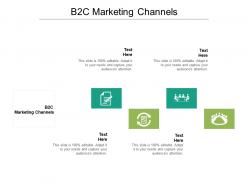 B2c marketing channels ppt powerpoint presentation infographics cpb