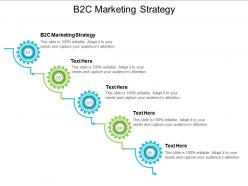 B2c marketing strategy ppt powerpoint presentation file graphics template cpb