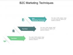 B2c marketing techniques ppt powerpoint presentation professional slide download cpb