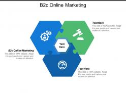 B2c online marketing ppt powerpoint presentation model background image cpb