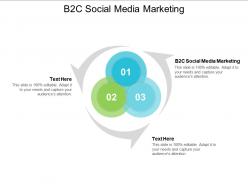 B2c social media marketing ppt powerpoint presentation file graphics tutorials cpb
