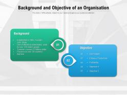Background and objective of an organisation