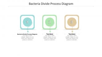 Bacteria divide process diagram ppt powerpoint presentation inspiration example cpb