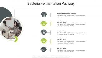 Bacteria Fermentation Pathway In Powerpoint And Google Slides Cpb