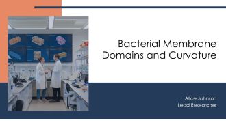 Bacterial Membrane Domains And Curvature PPT Designs AT