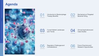 Bacteriophage Therapy Targeted Treatment For Infections PPT Structure AT Visual Attractive