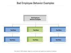 Bad employee behavior examples ppt powerpoint presentation show graphics design cpb