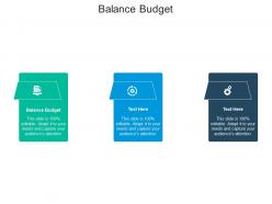 Balance budget ppt powerpoint presentation portfolio graphics download cpb