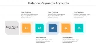 Balance payments accounts ppt powerpoint presentation infographic template cpb