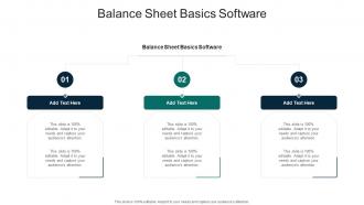 Balance Sheet Basics Software In Powerpoint And Google Slides Cpb