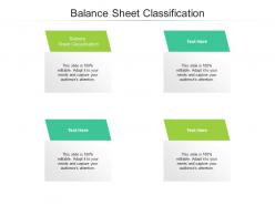Balance sheet classification ppt powerpoint presentation infographic template layout cpb