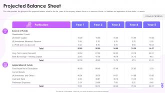 Balance Sheet Feasibility Study Templates For Different Projects