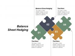 Balance sheet hedging ppt powerpoint presentation layouts influencers cpb