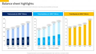 Balance Sheet Highlights Hyundai Motors Company Profile CP SS