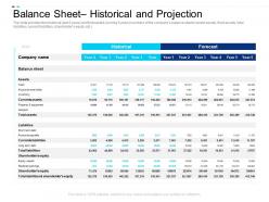 Balance Sheet Historical And Projection Equity Crowdsourcing
