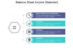 Balance sheet income statement ppt powerpoint presentation pictures cpb