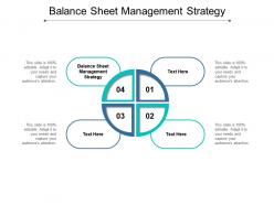 Balance sheet management strategy ppt powerpoint presentation icon outfit cpb