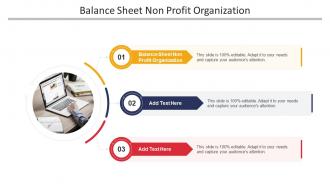 Balance Sheet Non Profit Organization In Powerpoint And Google Slides Cpb