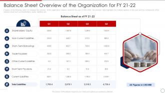 Balance Sheet Overview Organization Fy 21 22 Loan Collection Process Improvement Plan