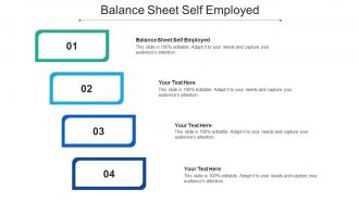 Balance sheet self employed ppt powerpoint presentation inspiration cpb