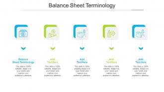 Balance Sheet Terminology Ppt Powerpoint Presentation Show Background Cpb