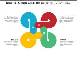 Balance sheets cashflow statement channels distribution collaboration equity marketing