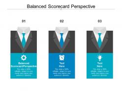 Balanced scorecard perspective ppt powerpoint presentation file picture cpb