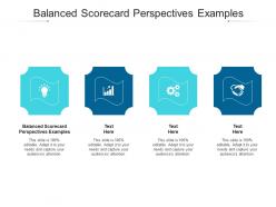 Balanced scorecard perspectives examples ppt powerpoint presentation professional introduction cpb