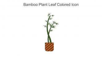 Bamboo Plant Leaf Colored Icon In Powerpoint Pptx Png And Editable Eps Format
