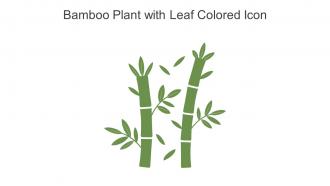 Bamboo Plant With Leaf Colored Icon In Powerpoint Pptx Png And Editable Eps Format