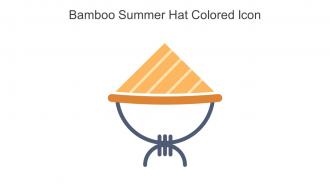 Bamboo Summer Hat Colored Icon In Powerpoint Pptx Png And Editable Eps Format