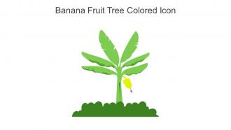 Banana Fruit Tree Colored Icon In Powerpoint Pptx Png And Editable Eps Format