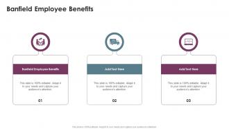 Banfield Employee Benefits In Powerpoint And Google Slides Cpb